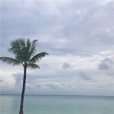 不朽魔神华为版下载