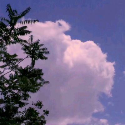 伏魔录3d游戏最新版下载